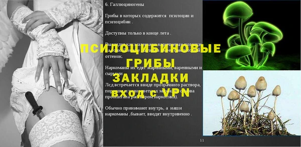 прущие грибы Навашино
