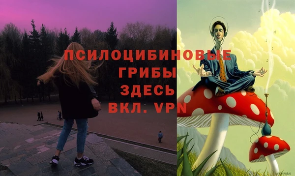 бошки Алексеевка