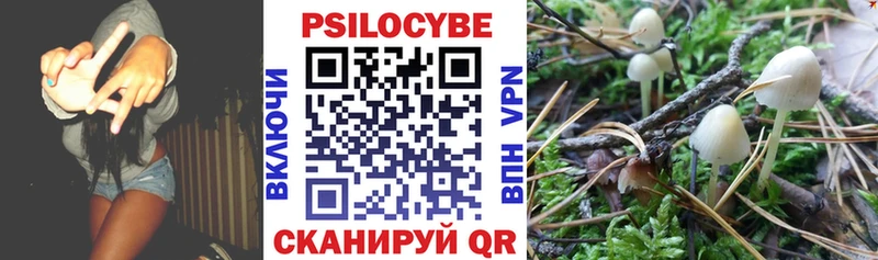 МЕГА вход  Холм  Галлюциногенные грибы MAGIC MUSHROOMS 